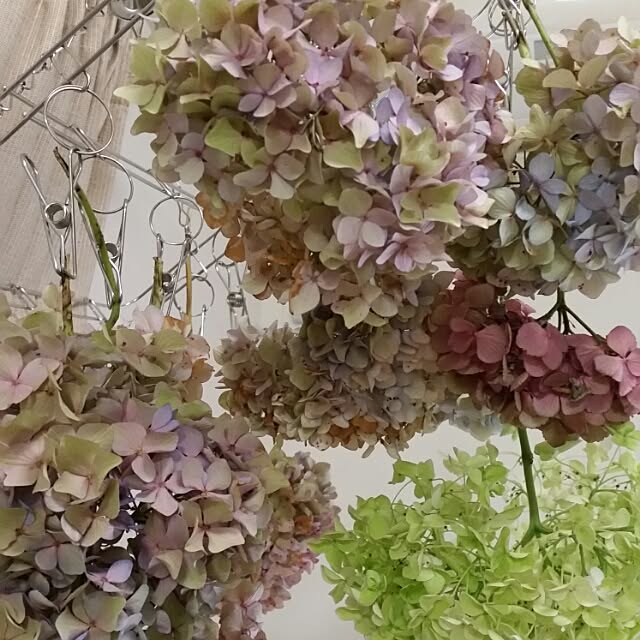 mmmさんの実例写真
