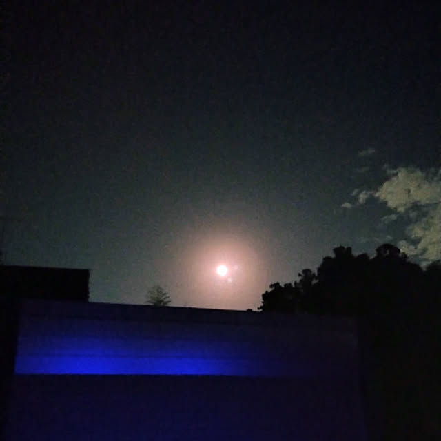 y.ebihara0811さんの実例写真