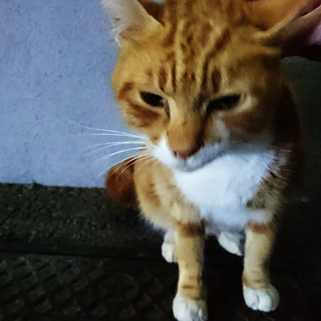 andさんの実例写真