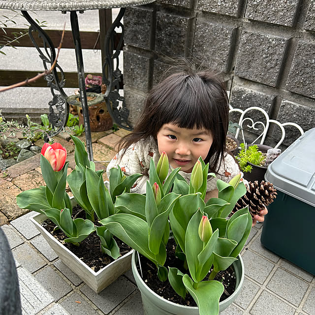 Shokoさんの実例写真