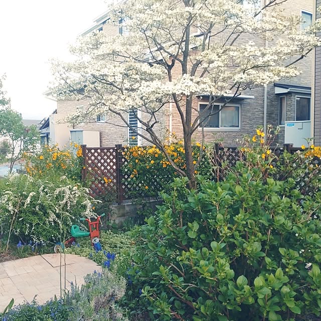 Hujikoさんの部屋