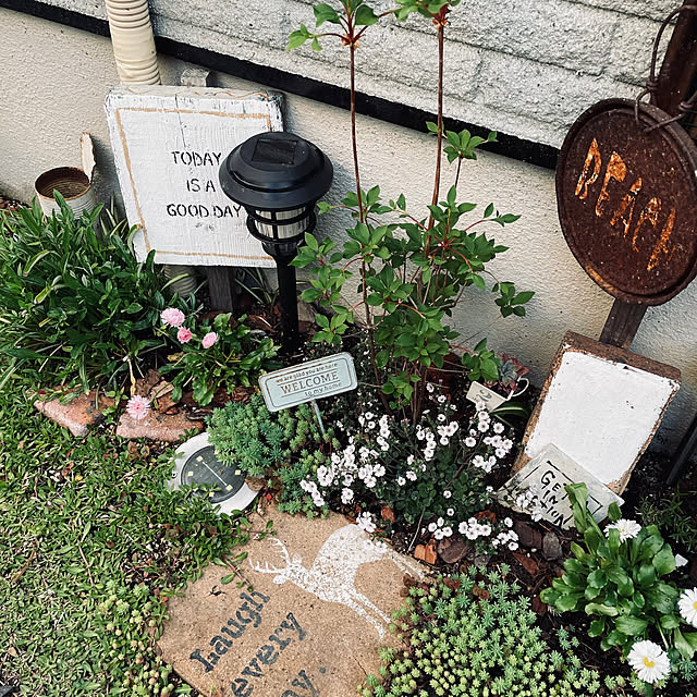 hirari38さんの部屋