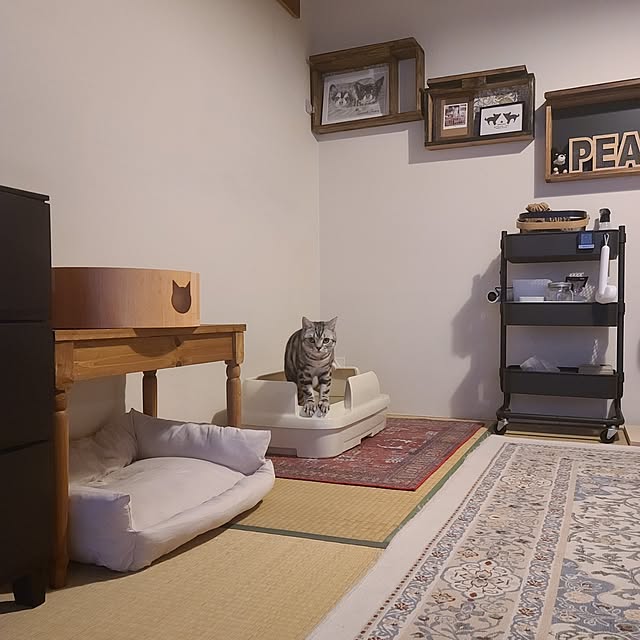 lovepeaceさんの部屋