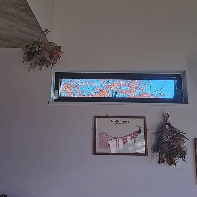 hagyu7kuroさんの部屋