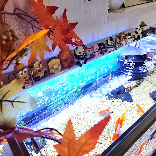 saayaさんの部屋