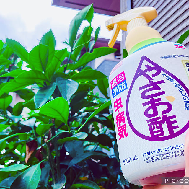 tinkunさんの部屋