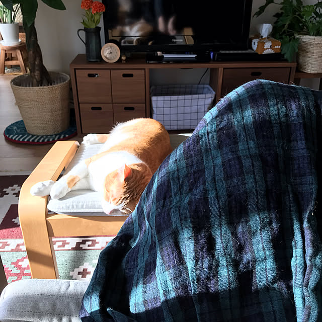 73さんの実例写真