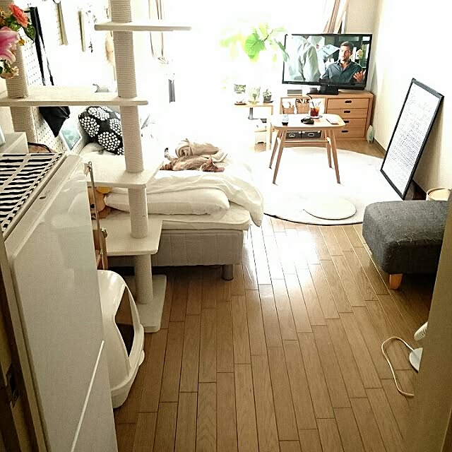 komugiさんの実例写真