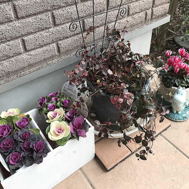 alchoさんの実例写真