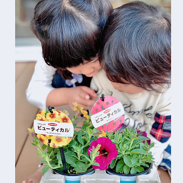 hinamamaさんの実例写真
