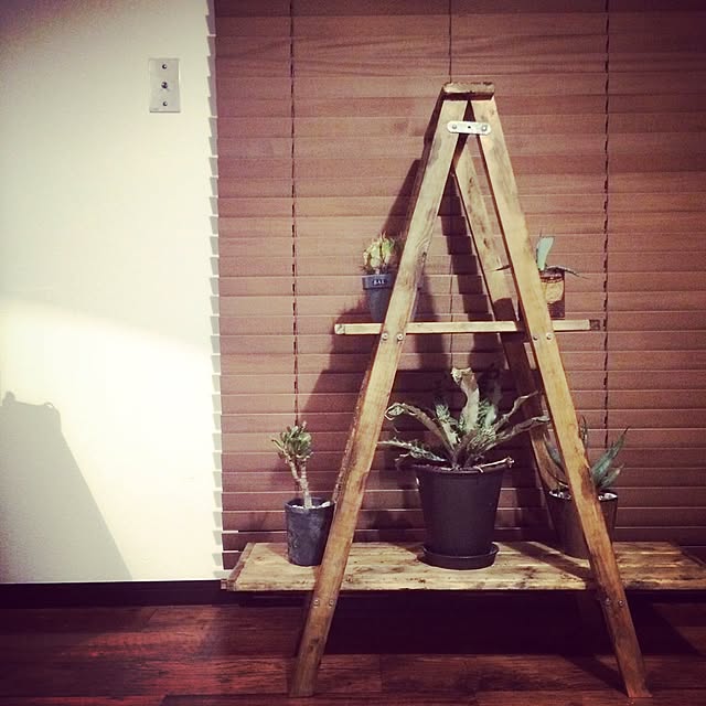 katsuwobushiさんの実例写真
