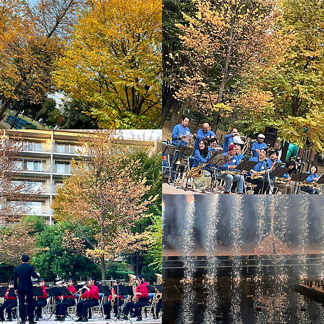 2.11maririnさんの実例写真