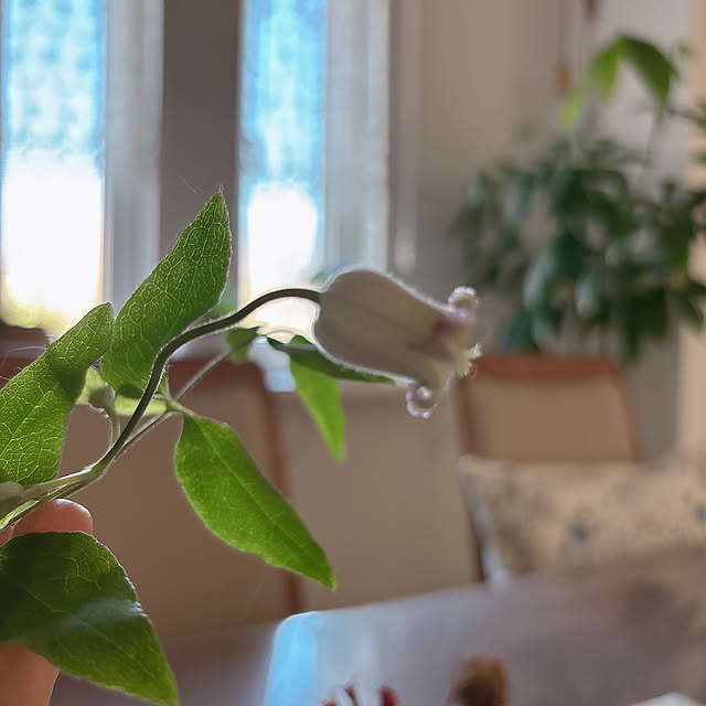 miyu39さんの部屋