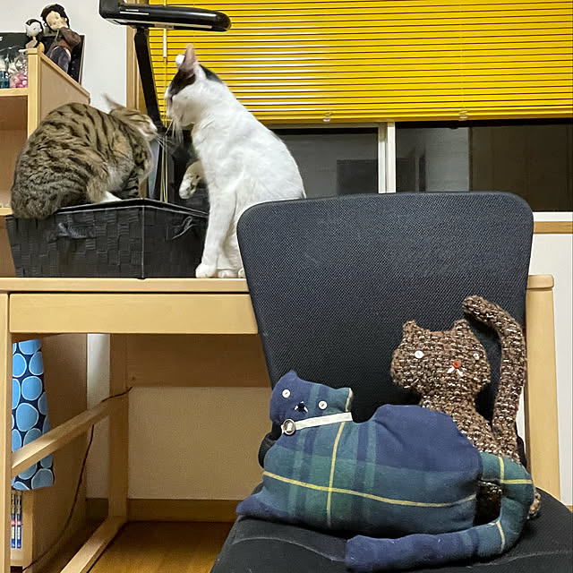 nobikoさんの実例写真