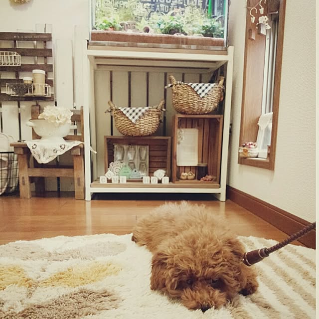 mieさんの実例写真