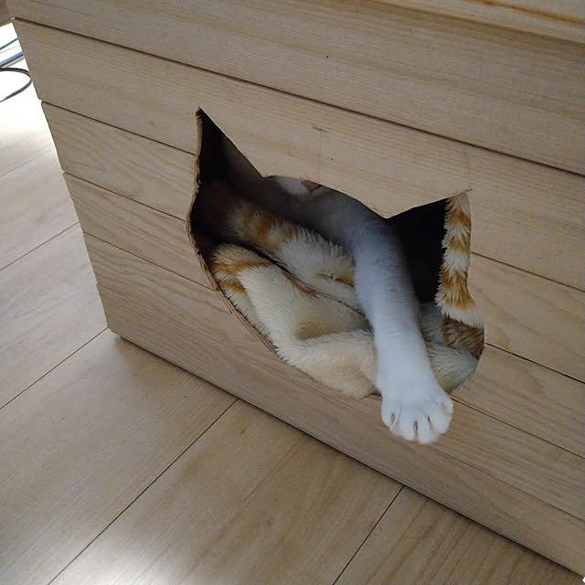 kiyohima229さんの実例写真