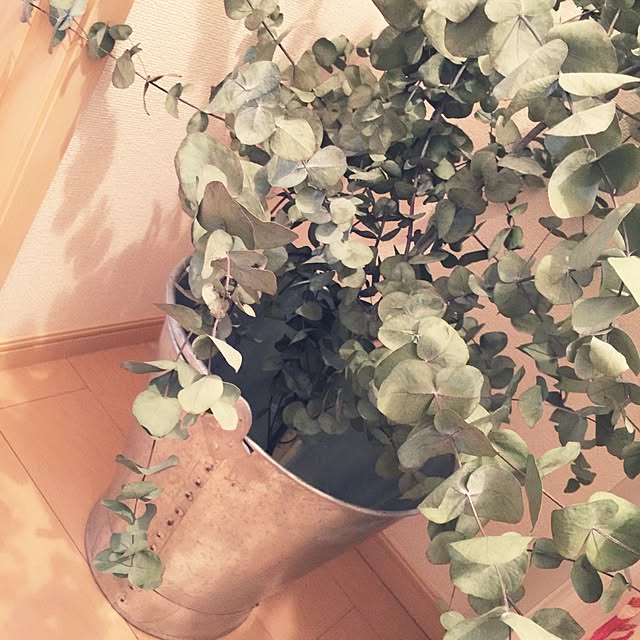 chapurinさんの実例写真