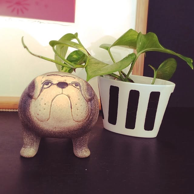 tu-chanさんの実例写真