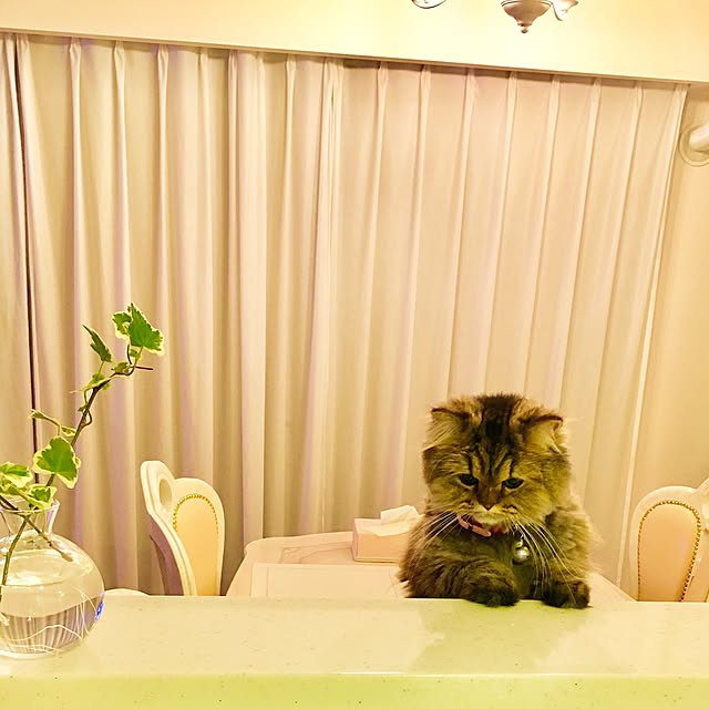 musicsukiさんの実例写真