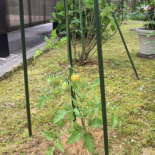 kakoさんの実例写真