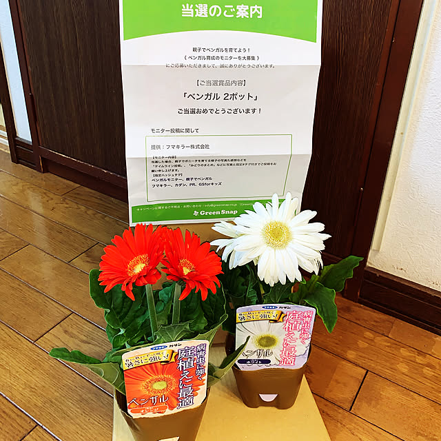 KYONさんの実例写真