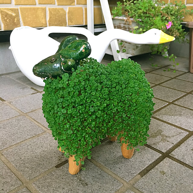 cactus0610さんの実例写真