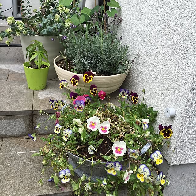 mamaintokyoさんの実例写真