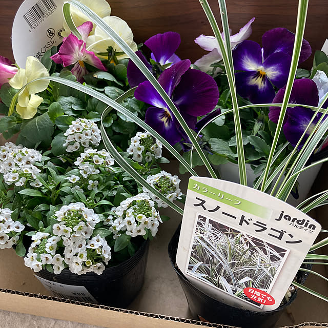 tomokokoさんの実例写真