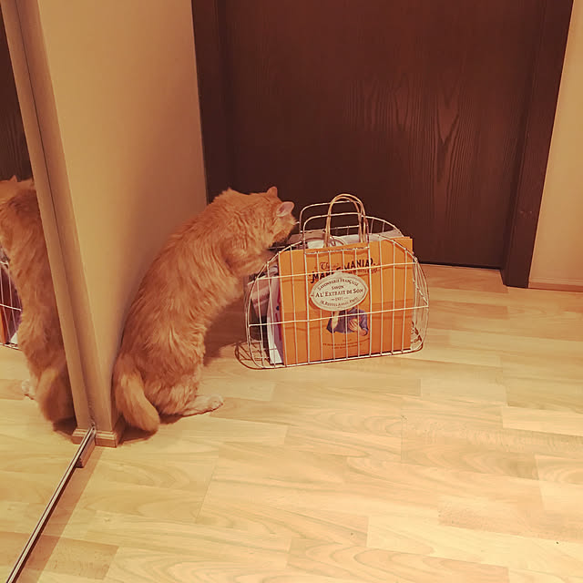 Keiさんの実例写真