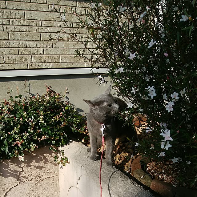 tomo1220さんの実例写真