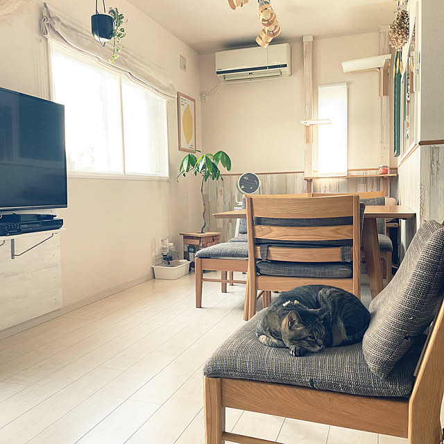 t-famさんの実例写真