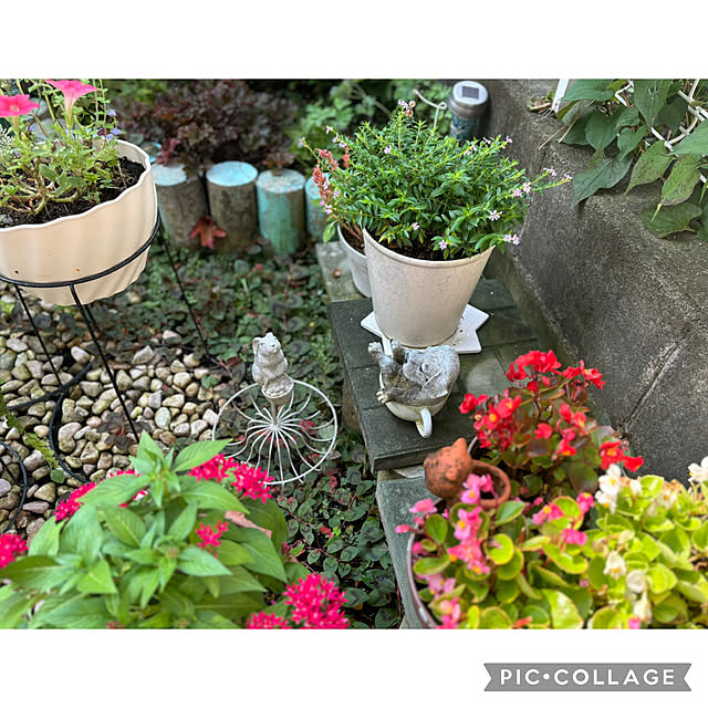 CoCo0617さんの実例写真