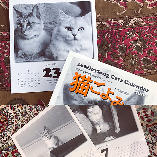 kjktさんの実例写真