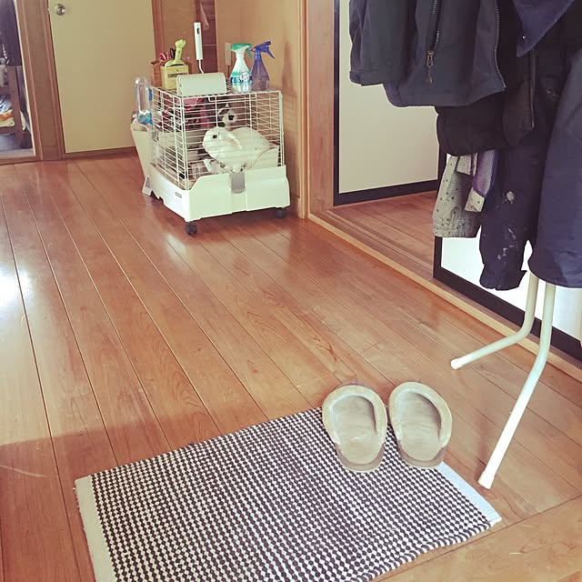 otukaresanさんの実例写真
