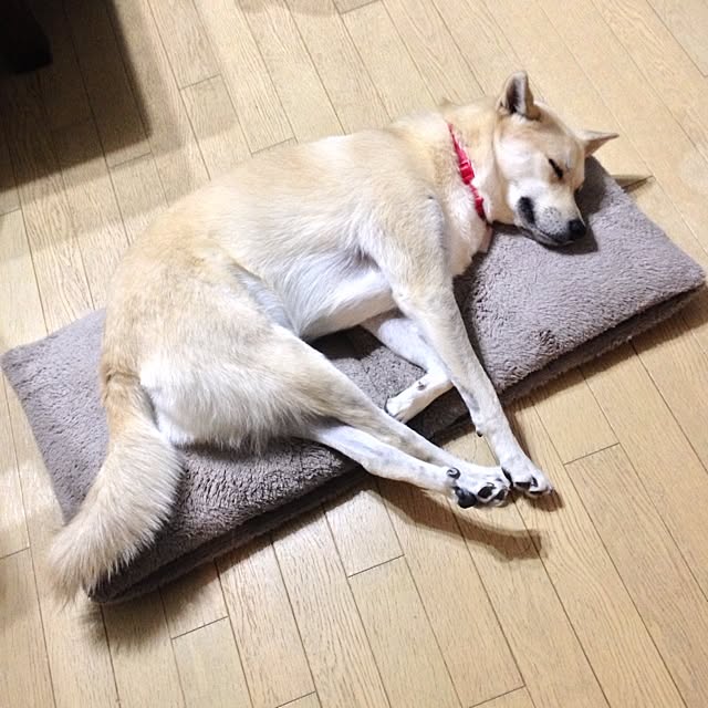 leonaさんの実例写真