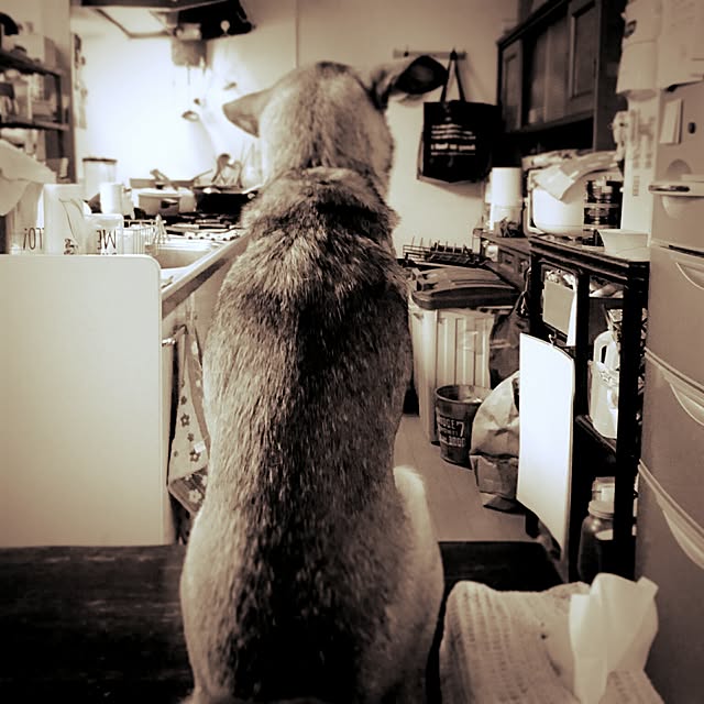 andさんの実例写真