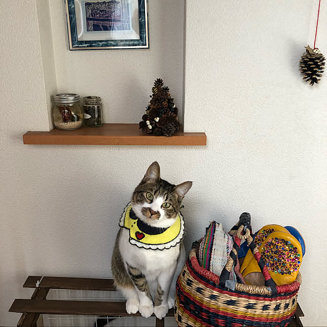 jijiさんの実例写真