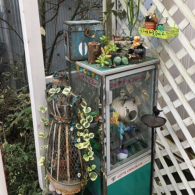 玄関/入り口/DIY/観葉植物/雑貨/多肉植物のインテリア実例 - 2016-10-28 15:40:17