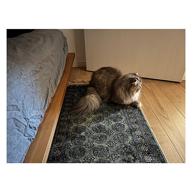gfさんの部屋