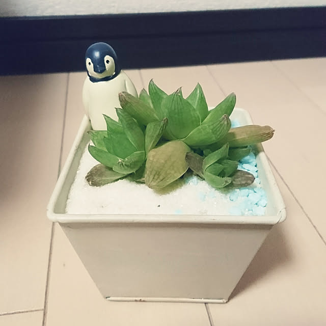 keyさんの実例写真