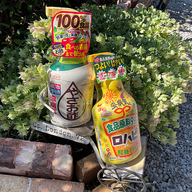 ronronさんの実例写真