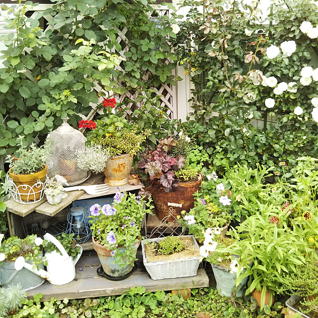 yukkoさんの実例写真