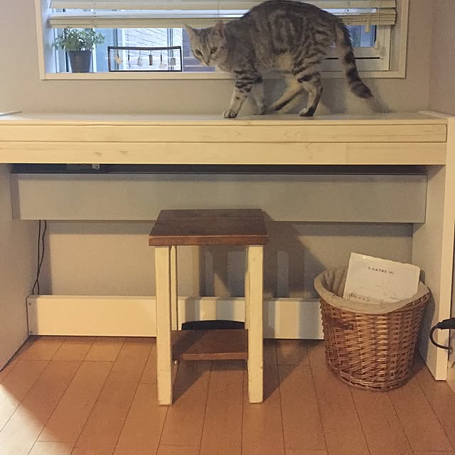 remonmikanさんの実例写真