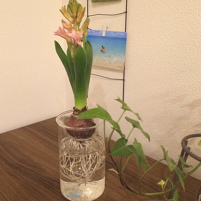 Emiさんの実例写真