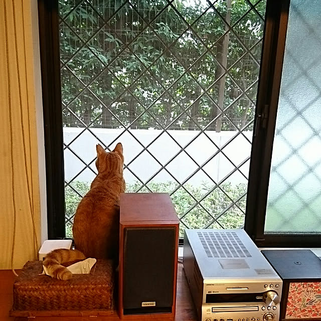 okyosan101さんの実例写真