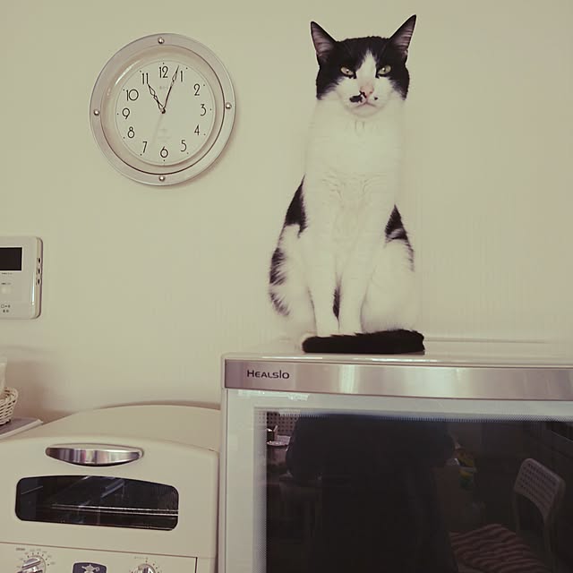 Mooさんの実例写真