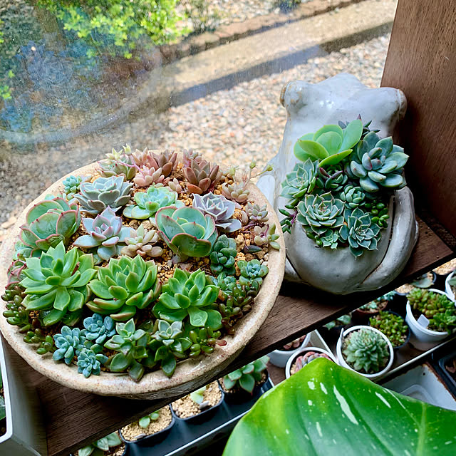 luluさんの部屋