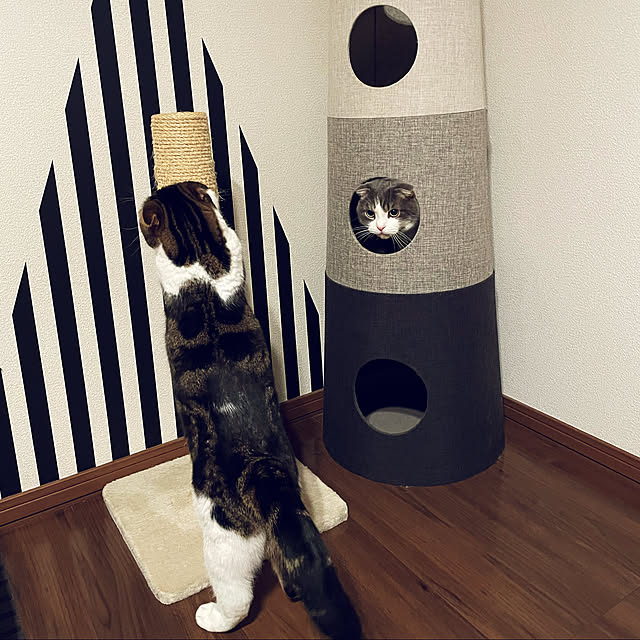 tansukeさんの実例写真