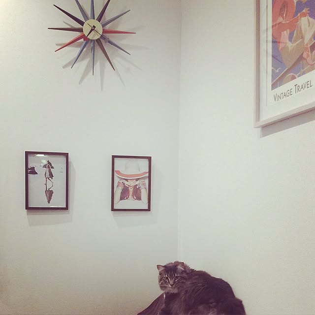Amyさんの実例写真