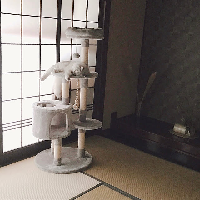 moon.mさんの実例写真